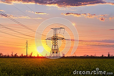 Bright colorful sunset canola field Stock Photo