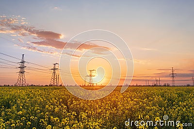 Bright colorful sunset canola field Stock Photo