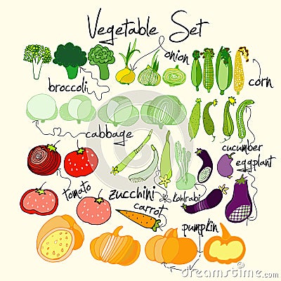 Bright and colorful Vegetables set. Vector Stock Photo