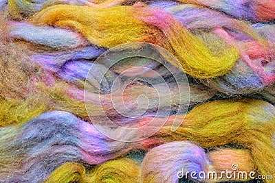 Bright coloured spinning wool roving. Background. Stock Photo