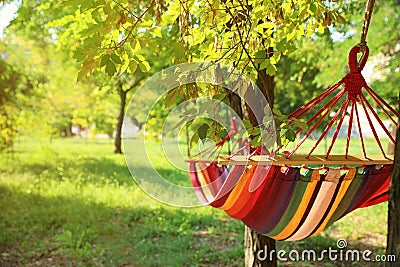 Bright comfortable hammock hanging Stock Photo