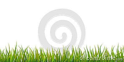 Bright detailed green grass, seamless border on white Stock Photo
