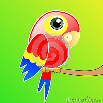 Bright drawn parrot Cartoon Illustration