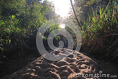 Highlights on undulating sand Stock Photo