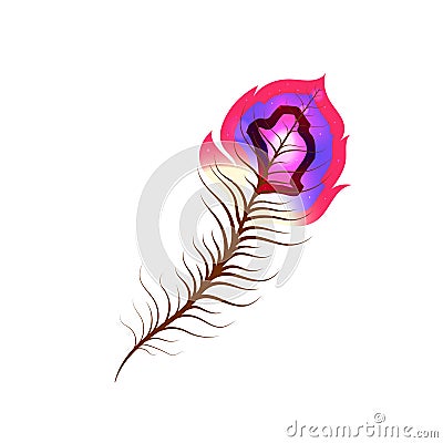 Bright exotic feather with colorful stripes on white Stock Photo