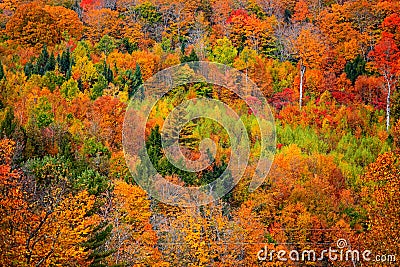 Bright fall foliage in Vermont mountains Stock Photo