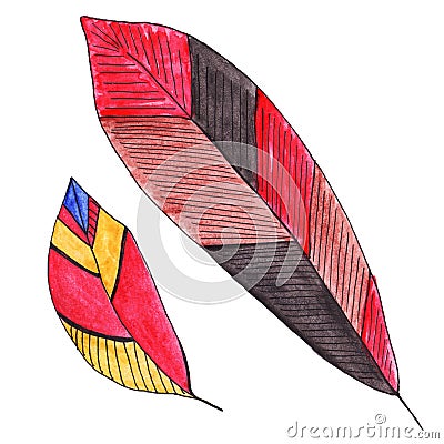 Bright feathers in black, brown and red colours. Cartoon Illustration