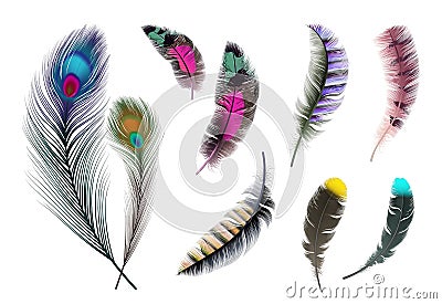 Bright feathers. Neon color decorative feather, peacock accessory. Realistic flying elements isolated vector set Vector Illustration