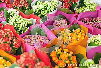 Bright floral background of colorful bouquets in flower market Stock Photo