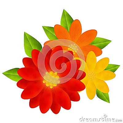 Bright flowers Vector Illustration