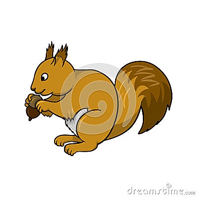 A bright fluffy squirrel sits and nibbles a nut, vector cartoon Vector Illustration