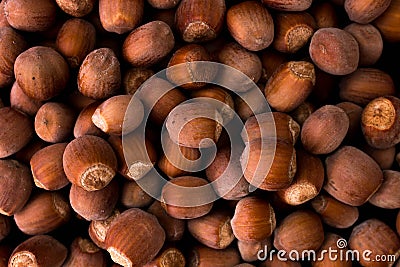 Bright and fresh background of hazelnuts Stock Photo