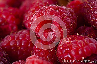 Bright fresh vitaminous raspberry closeup Stock Photo