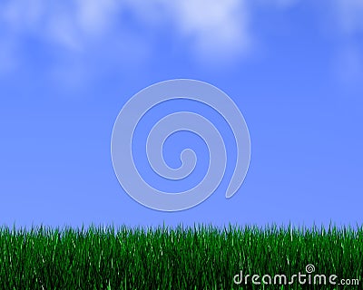 Bright grass Stock Photo