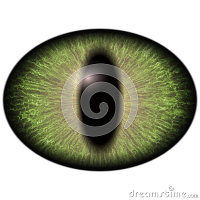 Bright green elliptic eye, narrowed iris. Big lizard eye Stock Photo