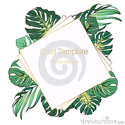 Bright green exotic tropical jungle palm tree monstera leaves. Square rhombus border frame card banner poster template. Vector Illustration
