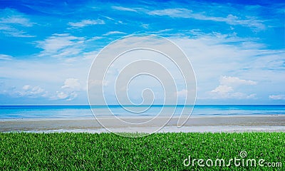 Bright green grass field or lawn next to the beach or sea with bright blue sky and white clouds. 3D Rendering. Panorama of the sea Stock Photo