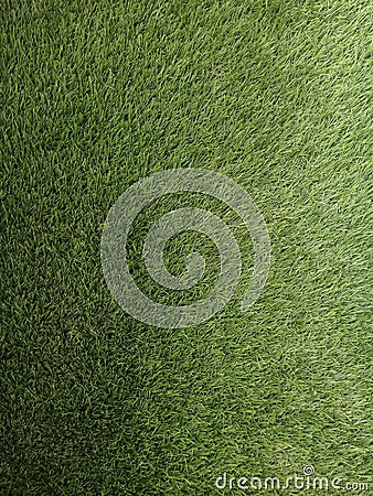 bright green synthetic grass carpet Stock Photo