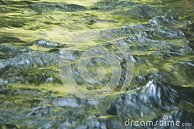 Green water, surface of a flowing river, Iguazu river Stock Photo
