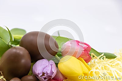 Graphic resource with text box, chocolate eggs and pastel tulips for Easter Stock Photo