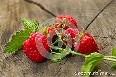 The bright, juicy and delightful berries of raspberry stationed oneself on a log Stock Photo