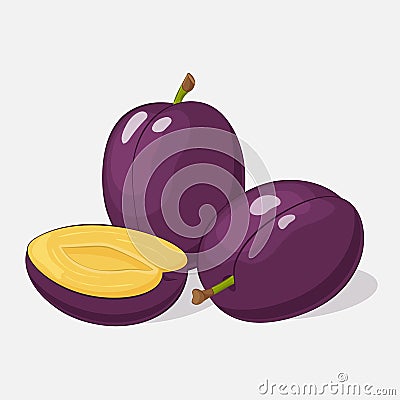 Bright juicy plum on grey background. Sweet delicious for your design in cartoon style. Vector illustration. Fruit Vector Illustration