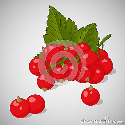 Bright juicy red currant on grey background. Sweet delicious for your design in cartoon style. Vector illustration. Berries Collec Vector Illustration