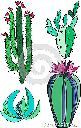 Bright lovely mexican tropical floral herbal summer green set of a cactus paint like child Vector Illustration