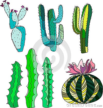 Bright lovely sophisticated mexican hawaii tropical floral herbal summer green set of a cactus paint like child vector Vector Illustration