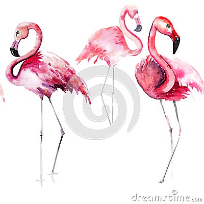 Bright lovely tender gentle sophisticated wonderful tropical hawaii animal wild summer beach pink flamingos pattern watercolor han Stock Photo