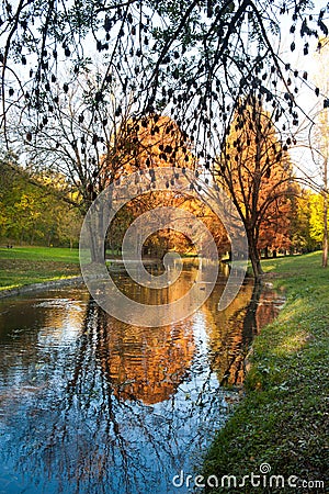 Bright morning over river in the forest. River and trees in fall. Autumnal morning with beautiful warm colors in park Stock Photo