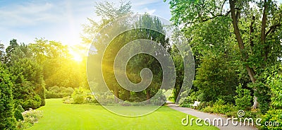 Bright morning sun illuminates garden with meadow Stock Photo