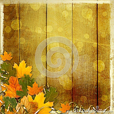 Bright multicolored autumn leaves on abstract beautiful background Stock Photo