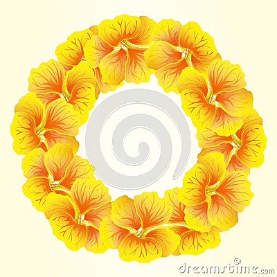 Bright Nasturtium wreath. Wild Yellow flowers. Beautifulï¿½Floral circle isolated on light background. Vector illustration. Card Vector Illustration