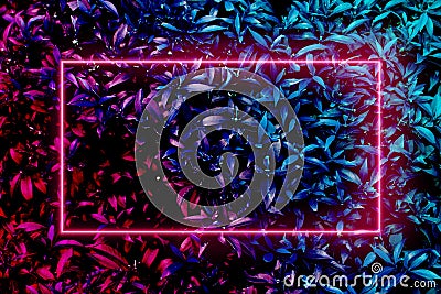 Bright neon red glow, futuristic background in retro style, Colorful tropical 80s 90s style, leaves in the jungle ultra violet Stock Photo