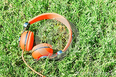 Bright orange colorful headphones on fresh sward Stock Photo