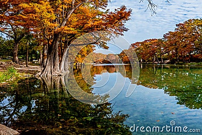 Bright Orange Fall Foliage on the Crystal Clear River at Garner State Park, Texas Stock Photo