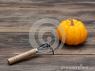 Bright orange fancy organic pumpkin with cultivator on dark wooden table background Stock Photo