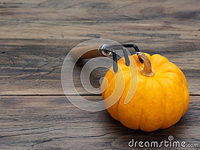 Bright orange fancy organic pumpkin with cultivator on dark wooden table background Stock Photo