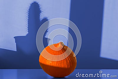 Bright orange pumpkin on a table and shadows in form of cactus or succulent, sunday light, toned in blue color Stock Photo