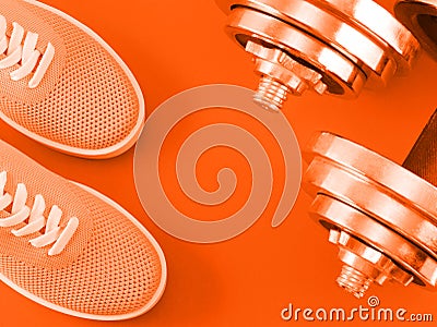 Bright orange sneakers on orange background with dumbbells. Stock Photo