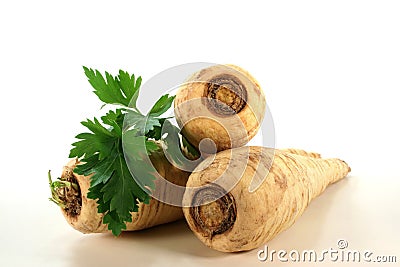 Bright Parsley root Stock Photo