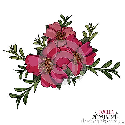 Natural Bright Pink Bouquet of Camellia Flowers Vector Vector Illustration