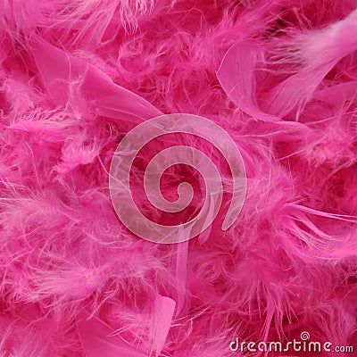 Bright pink feather boa Stock Photo