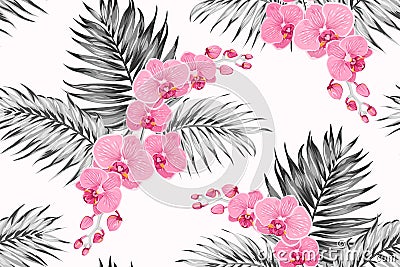 Bright pink purple orchid phalaenopsis exotic flowers greyscale tropical jungle palm tree leaves seamless pattern. Vector Illustration