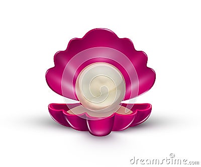 Bright Pink Shell with Golden Pearl Stock Photo