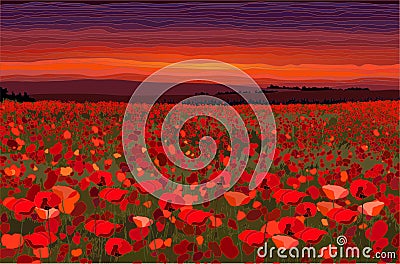 Bright poppy field with sunset sky vector illustration Vector Illustration