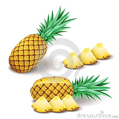 Bright realistic pineapple with slices, pieces isolated on white Vector Illustration