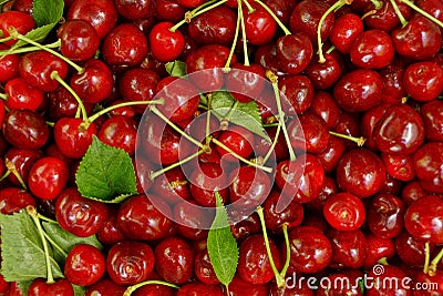 Bright red background of ripe red cherry Stock Photo