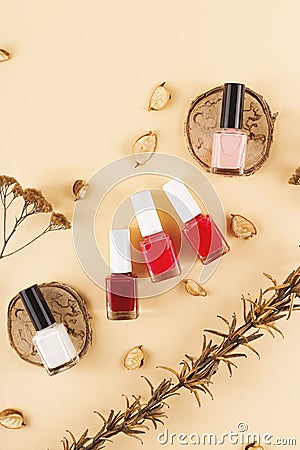 Bright and nude nail polishes on a neutral background among dry flowers. Stock Photo